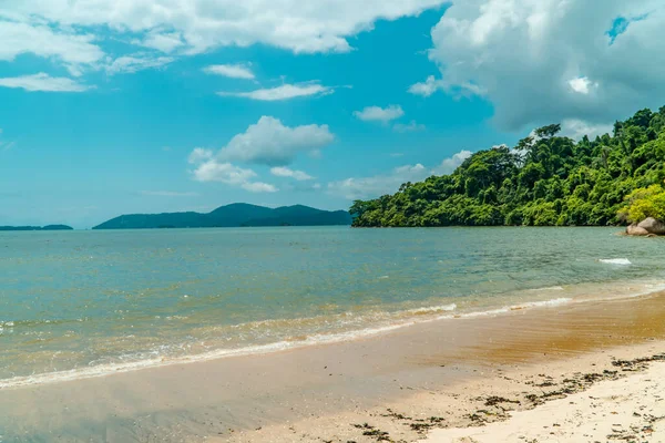 Piękna Tropikalna Plaża Palmą Kokosową Brzegu Morza — Zdjęcie stockowe