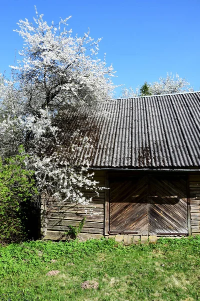 Vecchia Casa Legno Nel Giardino — Foto Stock