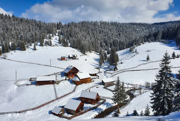 Winterlandschaft Mit Verschneiten Bäumen Und Bergen — Stockfoto