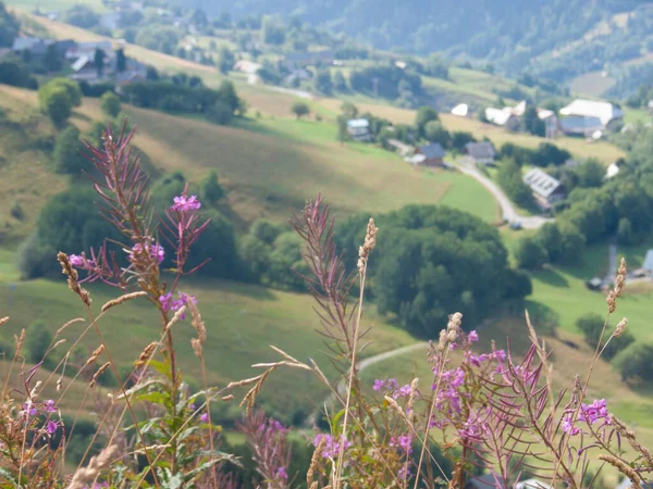 Prachtig Landschap Met Een Berg Achtergrond — Stockfoto