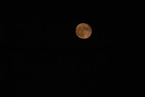 Місяць Нічному Небі — стокове фото