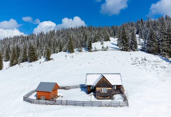 Winterlandschaft Mit Schneebedeckten Bäumen Den Bergen — Stockfoto