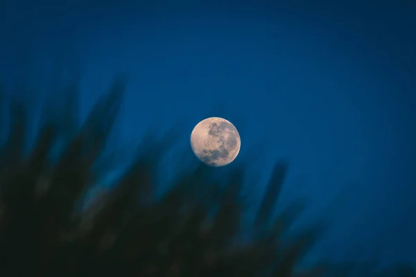 Lua Céu Noturno — Fotografia de Stock