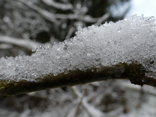 Neige Recouverte Cristaux Glace Dans Forêt Hiver — Photo