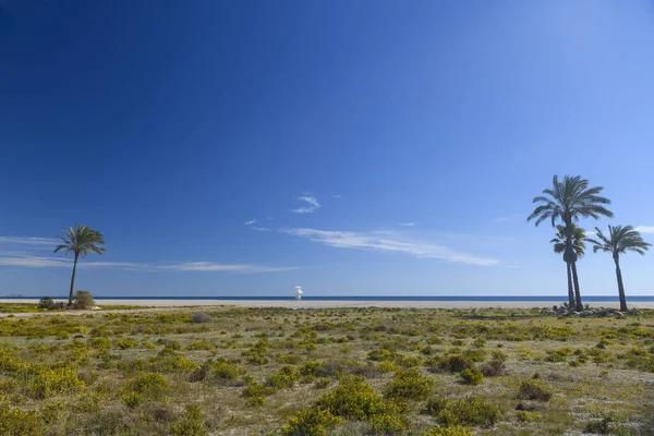 Schöne Aussicht Auf Das Meer Und Den Strand — Stockfoto