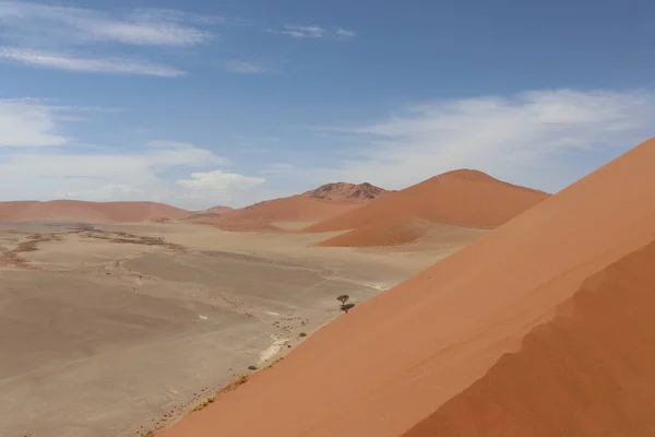 Beau Paysage Désert — Photo