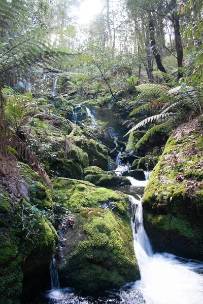 Vackert Vattenfall Skogen — Stockfoto