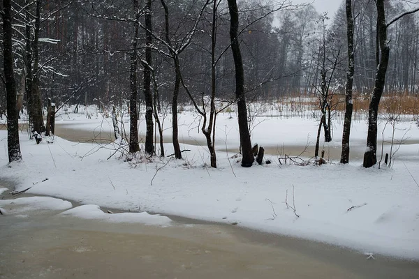 Winterlandschaft Mit Schneebedeckten Bäumen — Stockfoto