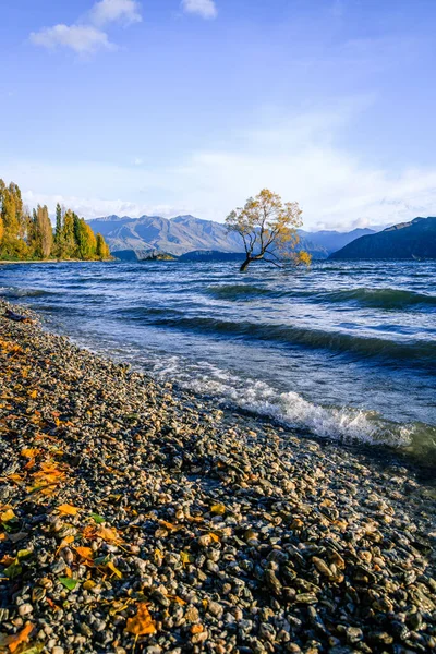 Pemandangan Indah Danau Pegunungan — Stok Foto