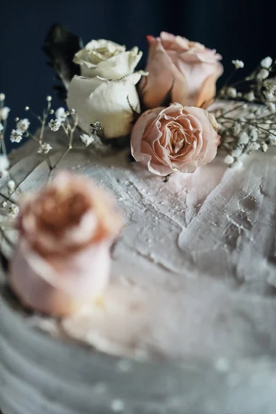 어두운 배경에 아름다운 장미꽃 — 스톡 사진