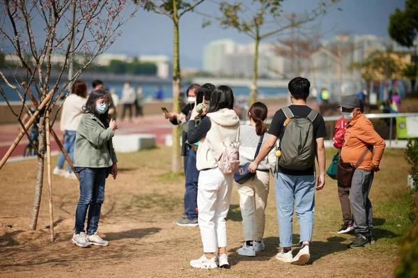 人们在堤岸上行走的景象 — 图库照片