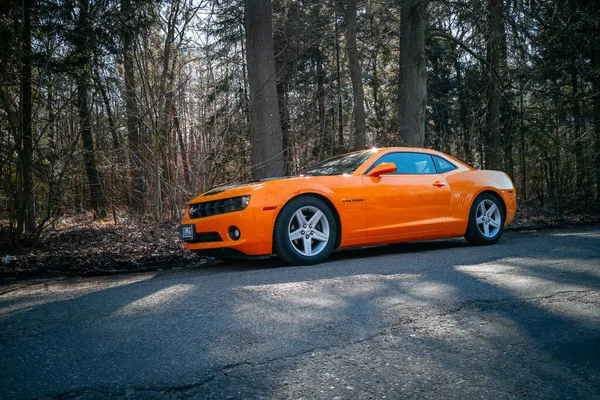 Oranje Auto Het Bos — Stockfoto