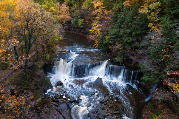 Beautiful Waterfall Forest — Stock Photo, Image