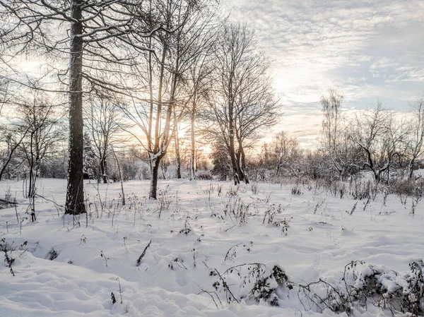 Paisagem Inverno Com Árvores Cobertas Neve — Fotografia de Stock