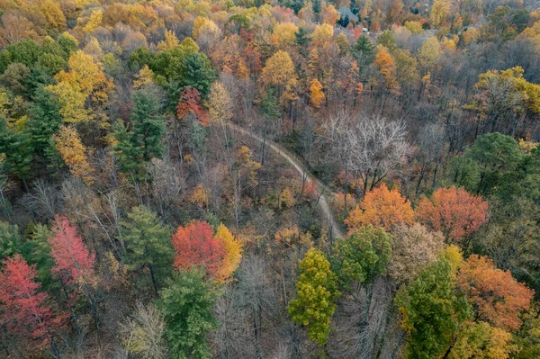 Autumn Forest Mountains — Stock Photo, Image