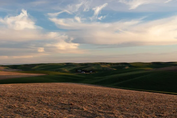 Красивий Краєвид Полем Пшениці Хмарним Небом — стокове фото