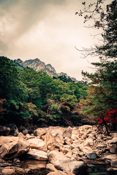 Bela Paisagem Nas Montanhas — Fotografia de Stock