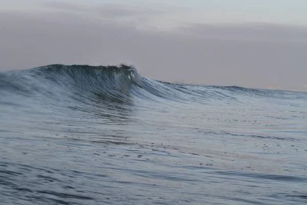 Våg Val Stranden — Stockfoto