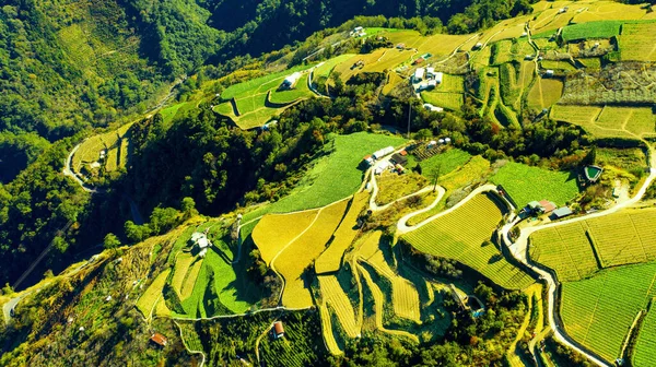 Воздушный Вид Рисовые Поля Горах Северного Штата Вьетнам — стоковое фото