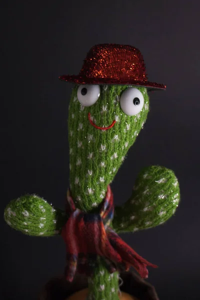Ładny Kaktusowy Zabawka Zbliżenie Widok — Zdjęcie stockowe