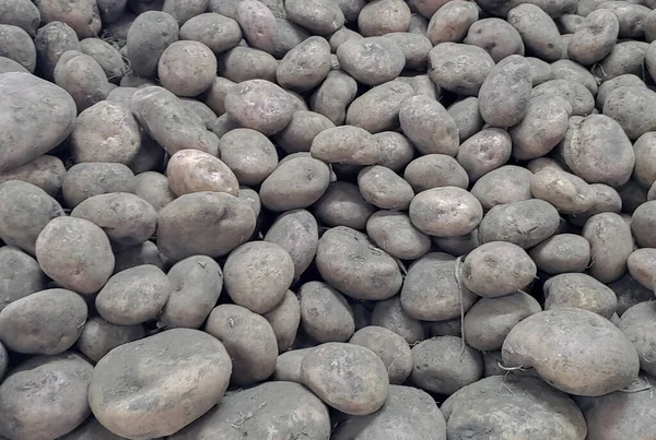 Frische Kartoffeln Auf Dem Markt — Stockfoto
