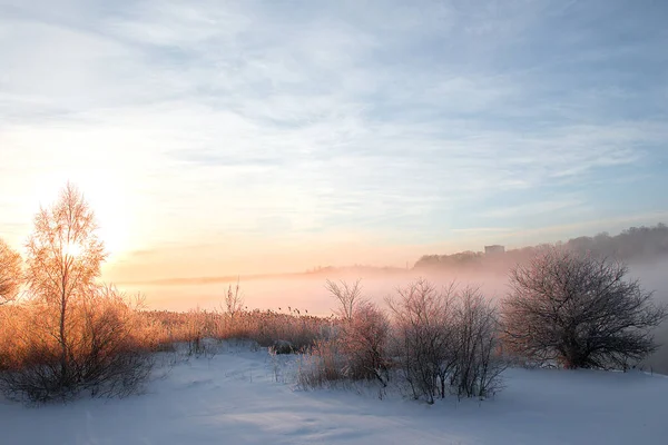 Paisagem Inverno Com Árvores Cobertas Neve — Fotografia de Stock