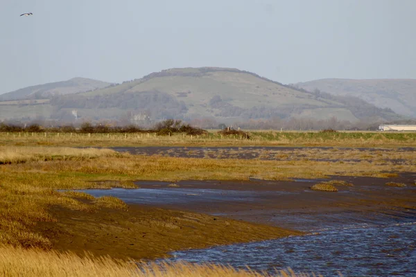 Belle Vue Sur Nature Sur Fond Nature — Photo