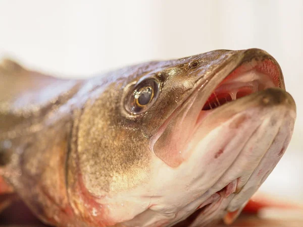 Рыба Столе — стоковое фото