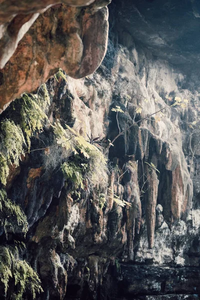 Caverna Nas Montanhas — Fotografia de Stock