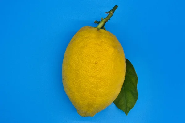 Limón Sobre Fondo Azul — Foto de Stock