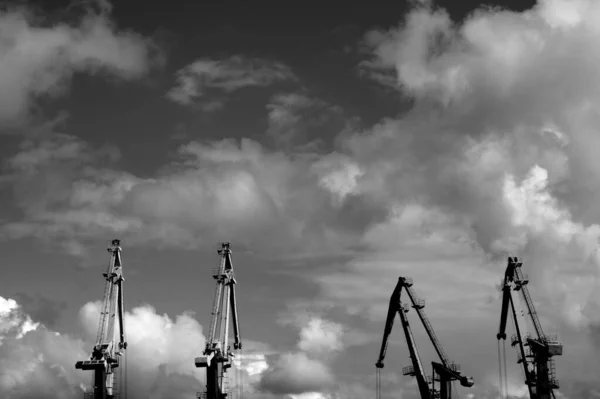 Černobílá Fotografie Velkých Průmyslových Jeřábů — Stock fotografie
