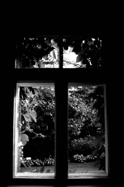美しい家の白黒写真 — ストック写真