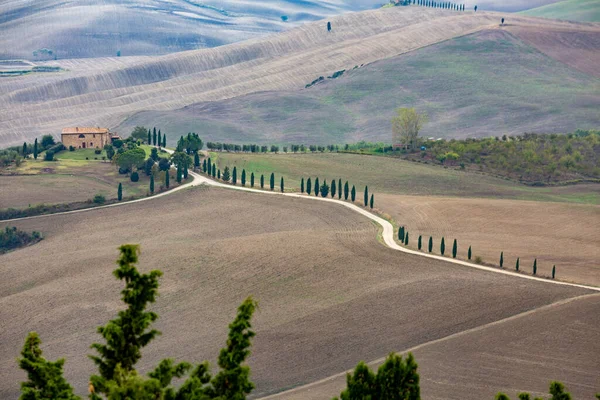 Bellissimo Paesaggio Con Una Strada Campagna — Foto Stock