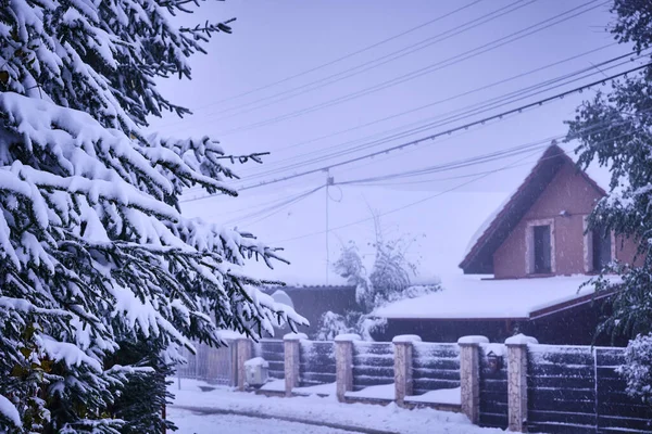 冰雪覆盖的冬季景观 — 图库照片