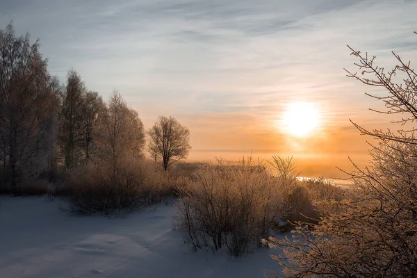 Paesaggio Invernale Con Alberi Innevati — Foto Stock