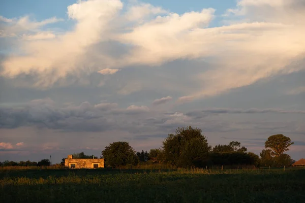 Schöne Landschaft Mit Einem Weizenfeld Und Einem Bewölkten Himmel — Stockfoto