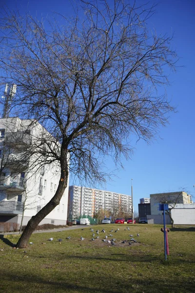 Vista Cidade Stockholm Suécia — Fotografia de Stock