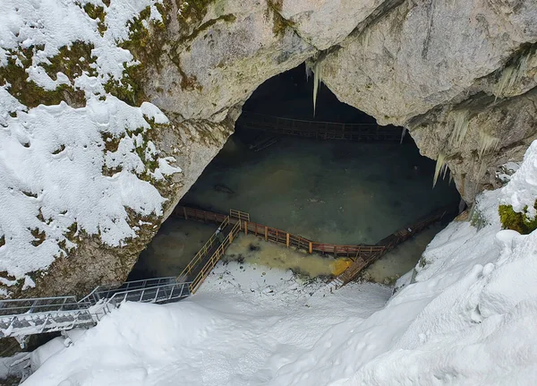 Vecchio Ponte Legno Nel Parco — Foto Stock