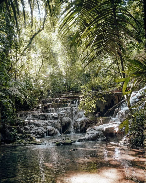 Schöner Wasserfall Wald — Stockfoto