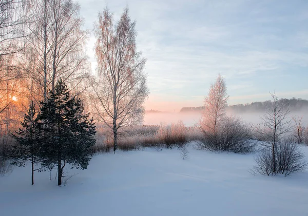 Winterlandschaft Mit Schneebedeckten Bäumen — Stockfoto