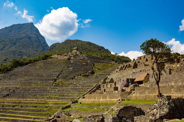 Ruines Ville Inca Mexique — Photo