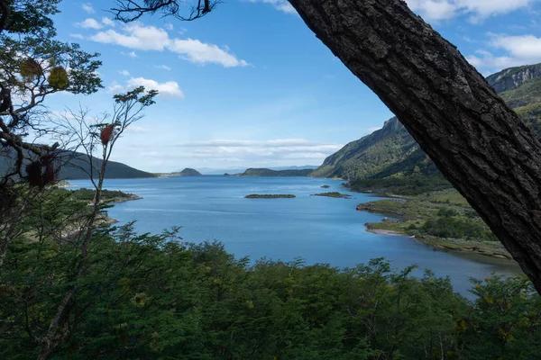 Красивый Вид Озеро Фоне Природы — стоковое фото