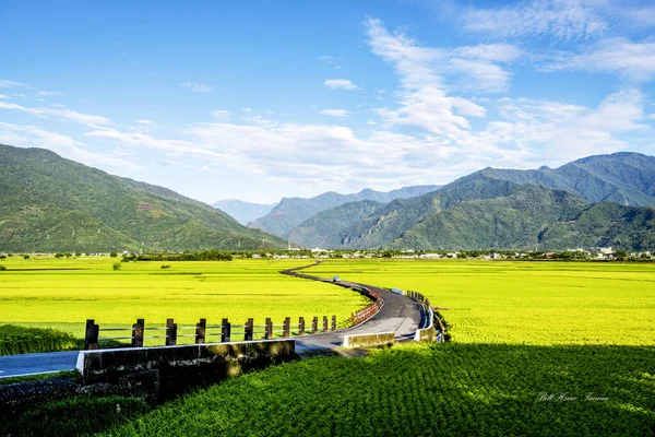 以高山为背景的美丽风景 — 图库照片