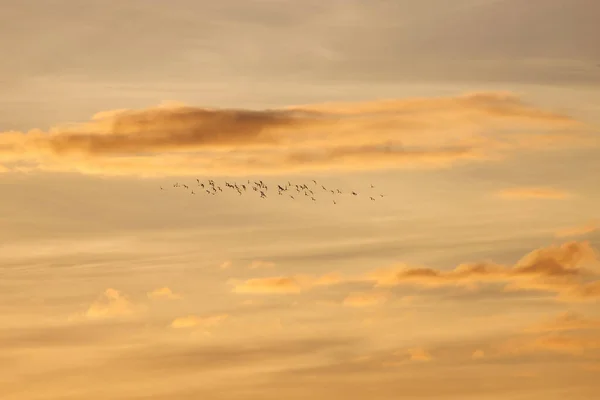 海の上の美しい夕日 — ストック写真