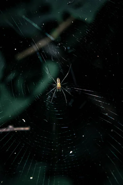 Fond Abstrait Avec Verre Brillant Une Grande Fenêtre — Photo