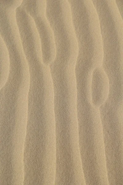 砂纹理 复制空间 — 图库照片