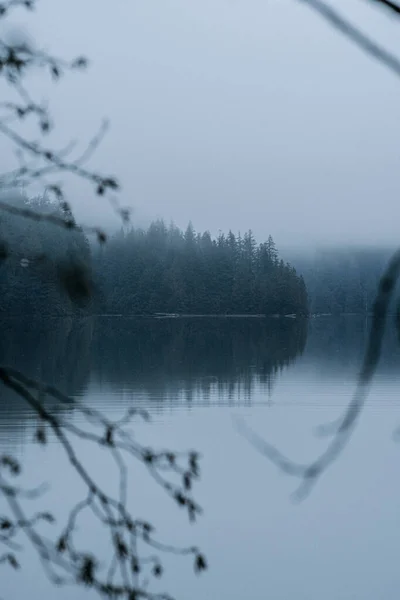 Красивый Пейзаж Деревьями Озером — стоковое фото