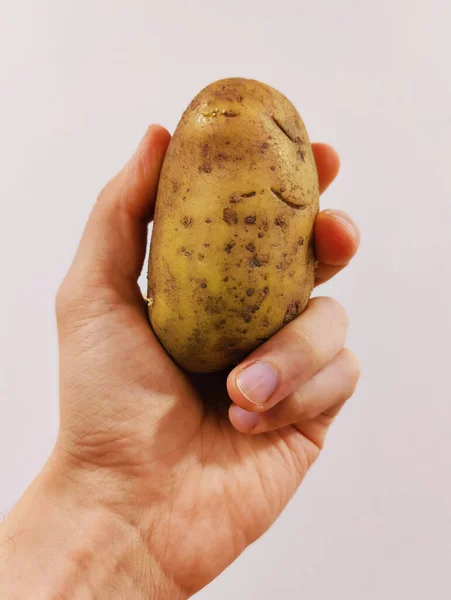 Close Male Hand Holding Potato — Stock Photo, Image