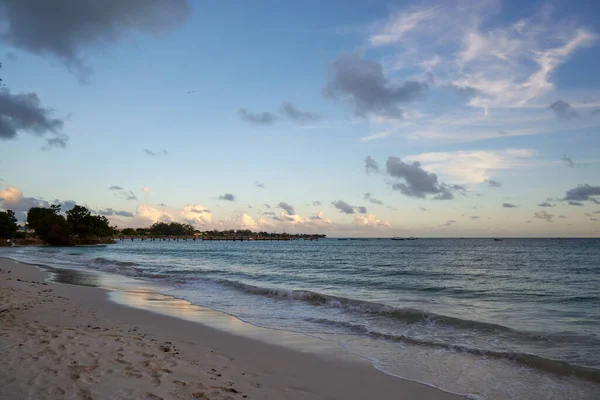 Vacker Tropisk Strand Med Palmer Och Blå Himmel — Stockfoto