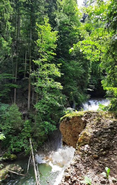 Krásný Vodopád Lese — Stock fotografie